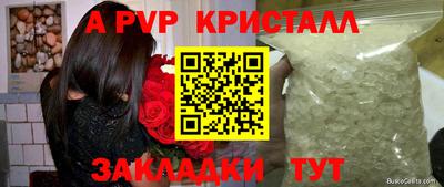 сатива Малгобек