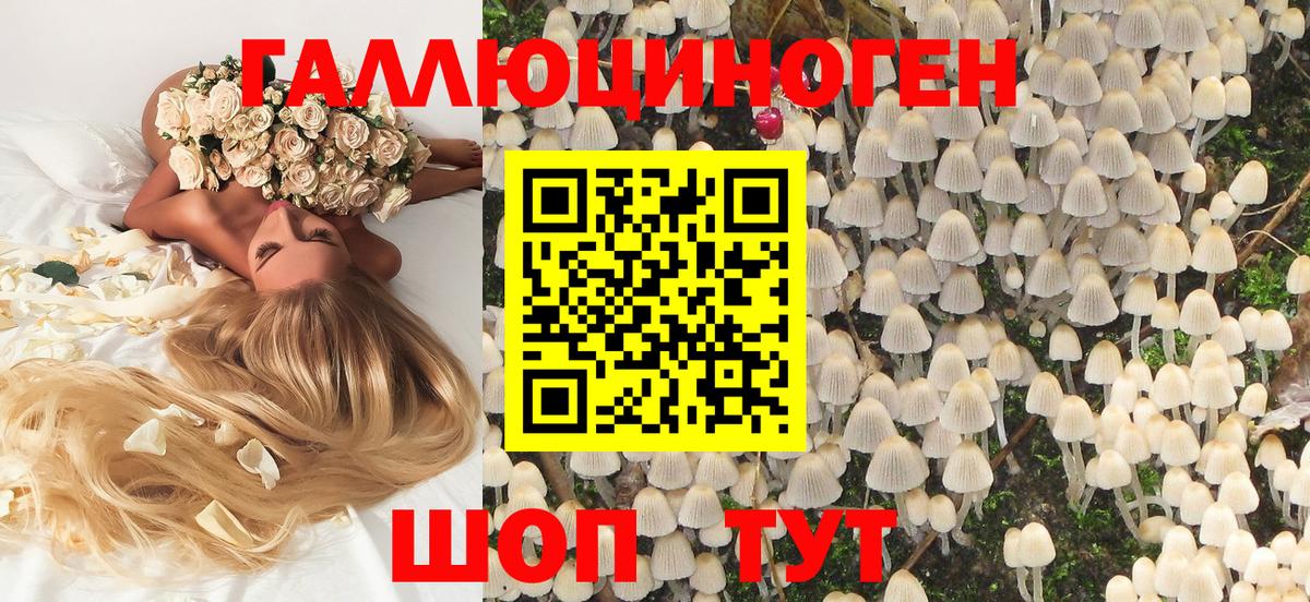 Фролово  Галлюциногенные грибы MAGIC MUSHROOMS  Галлюциногенные грибы MAGIC MUSHROOMS  Вход с VPN 